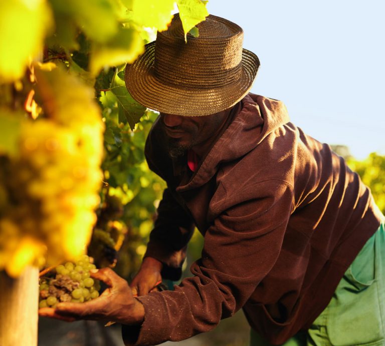 Farm Workers' Compensation Insurance in Pennsylvania